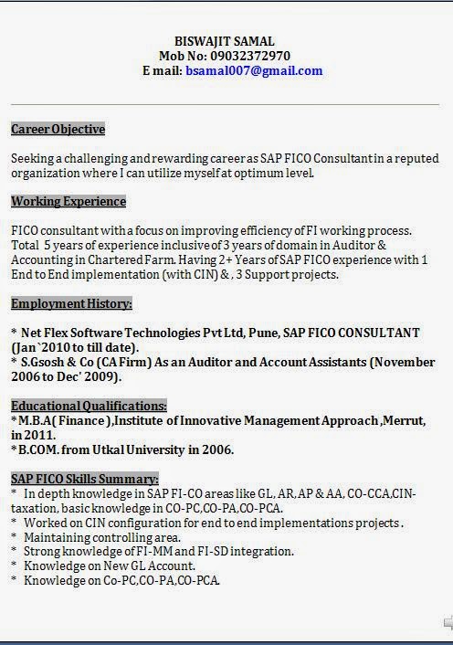 Sap gts abap resume